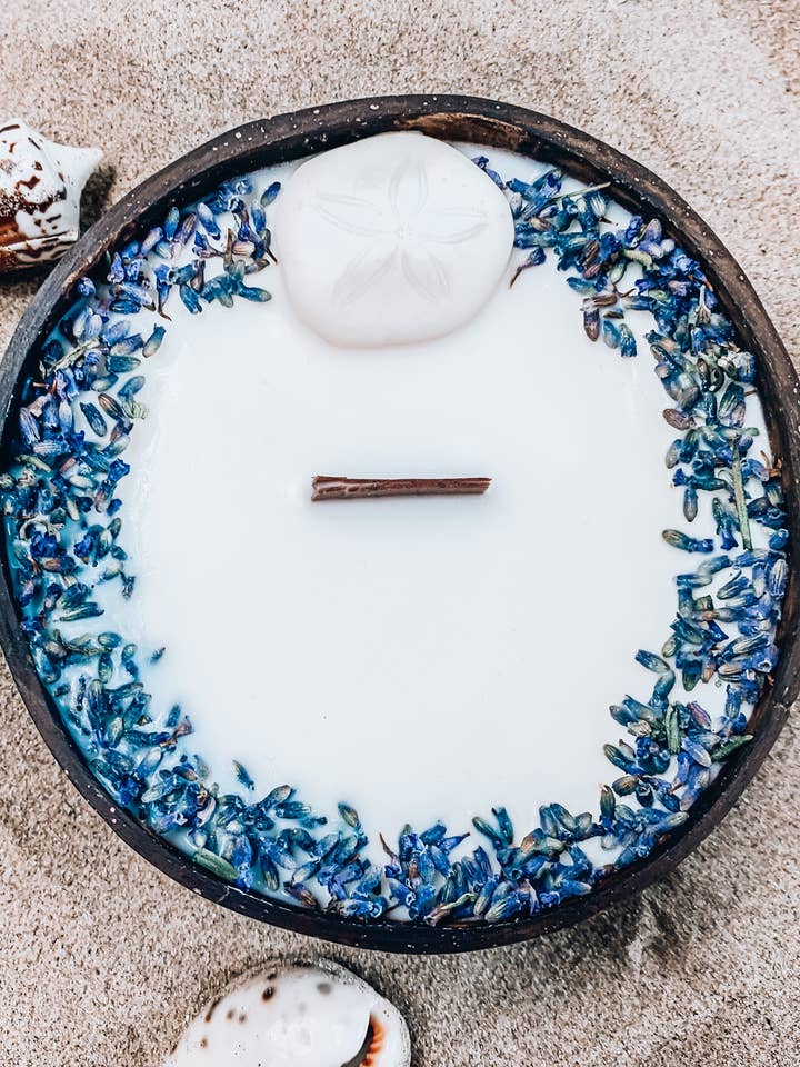 Vela Dollar Sand en concha de coco con aroma a coco para venta al por mayor de Surfing Road