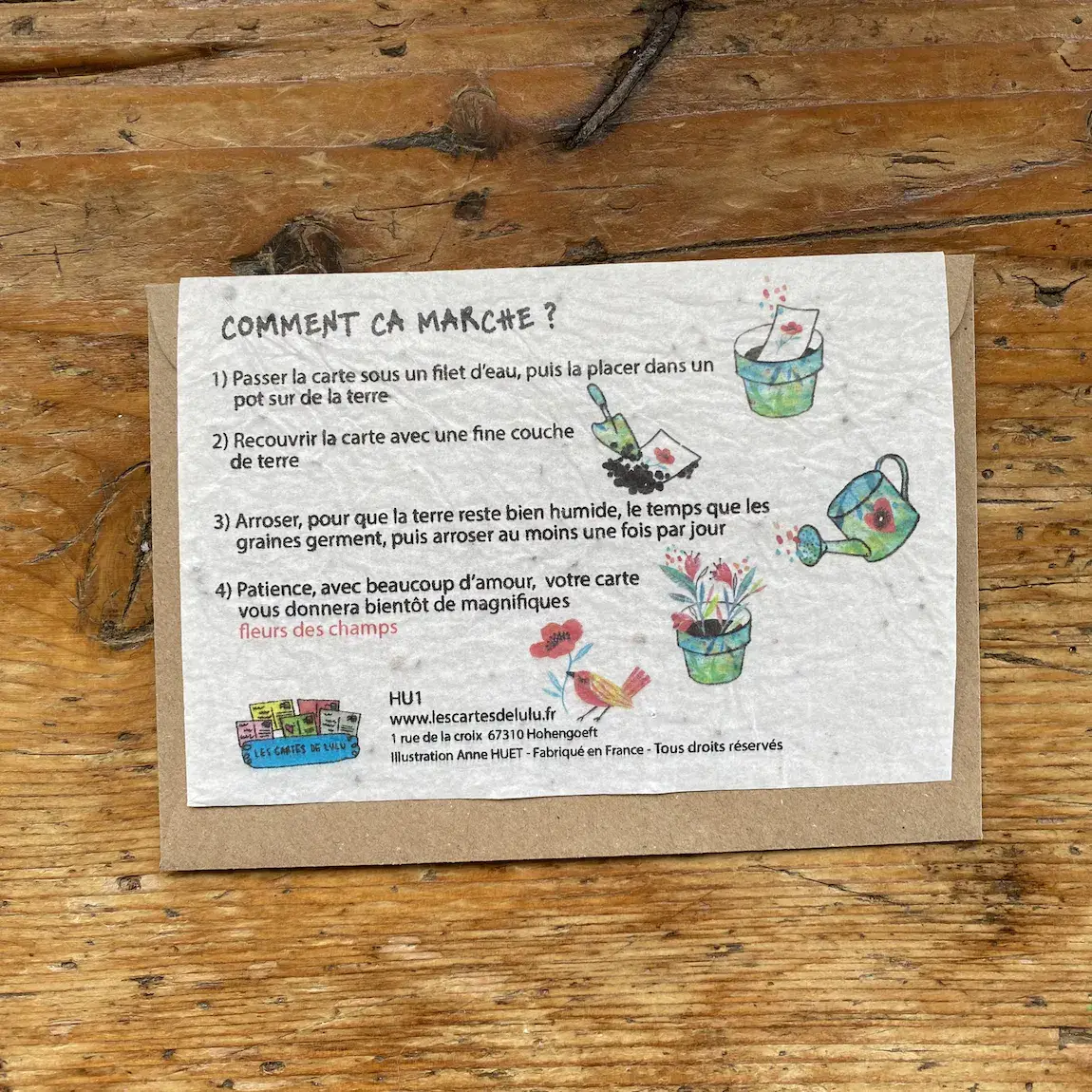 Les cartes de Lulu – Cartão de saudação diária por atacado – Conjunto de 15 cartões de plantio com tema gato feitos de sementes de flores silvestres1