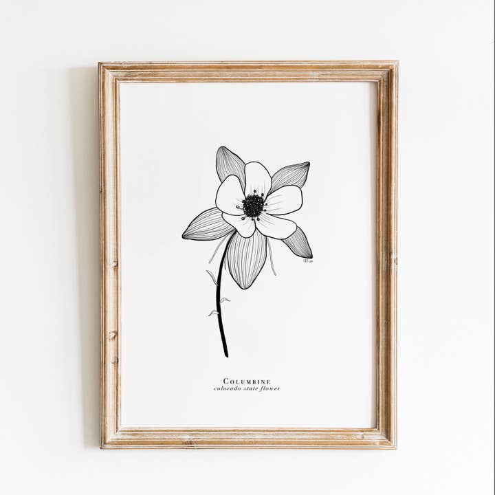 Colorado State Flower Print | Columbine Flower Print for wholesale by Erika Layne Art