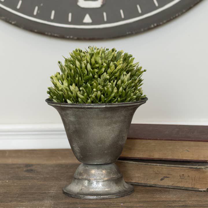 6" TWO TONE GREEN CHICKWEED HALF BALL for wholesale by Ragon House