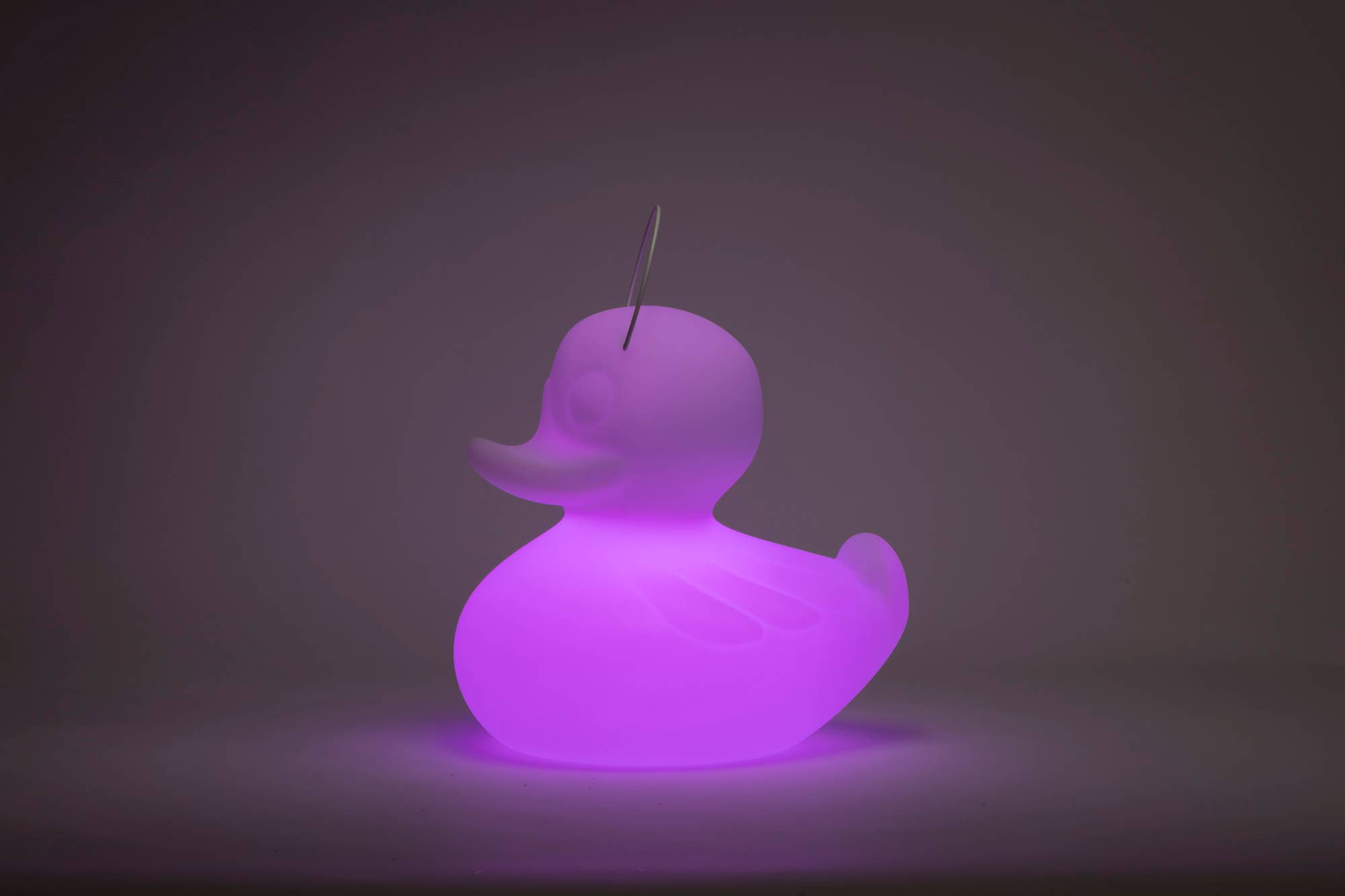 Goodnight Light - Wholesale Accent/Desk Lamp - The Duck Duck Lamp XL 51 cm - floating rechargeable lamp16