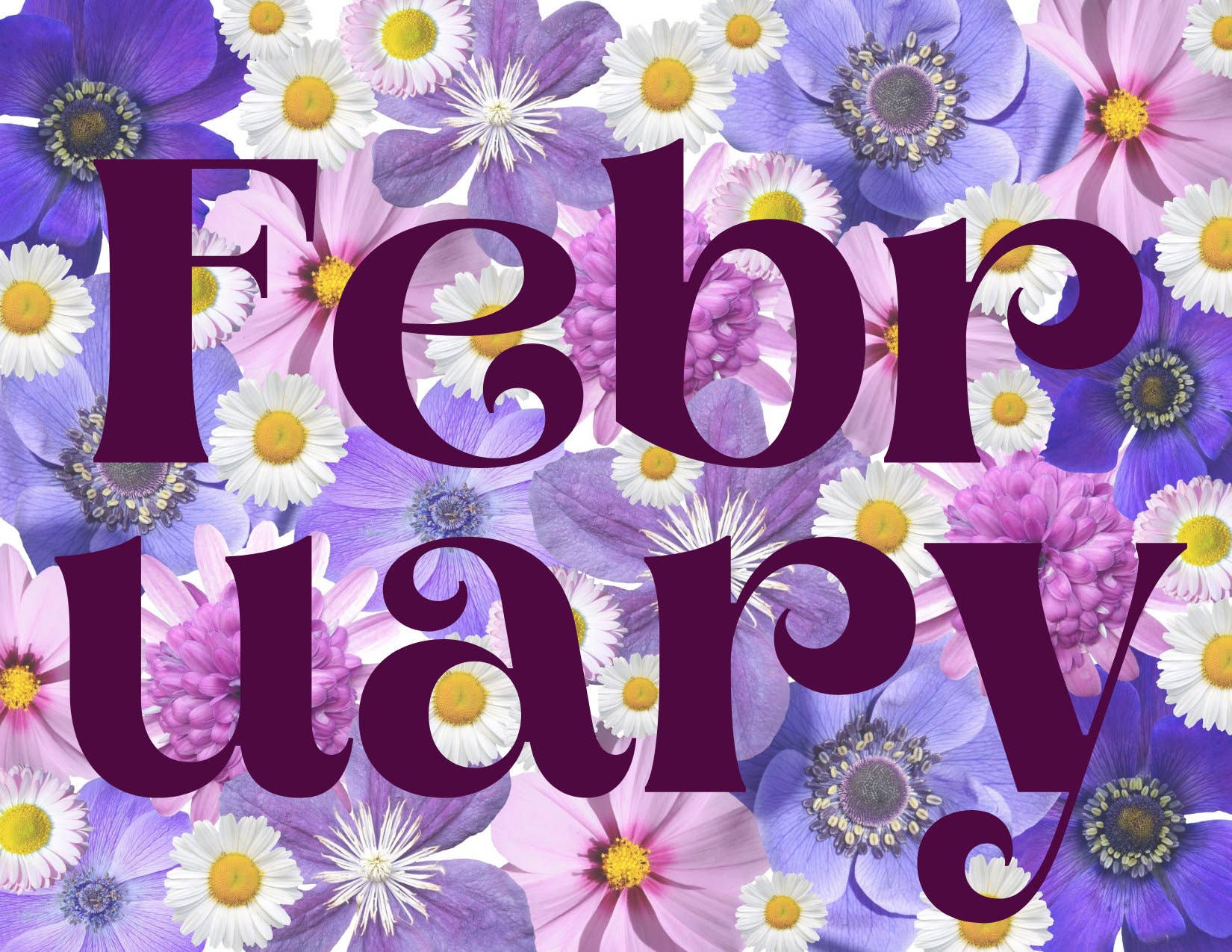 Piles of Postcards - Wholesale Postcard Set - February Postcard Bundle - Set of Four2