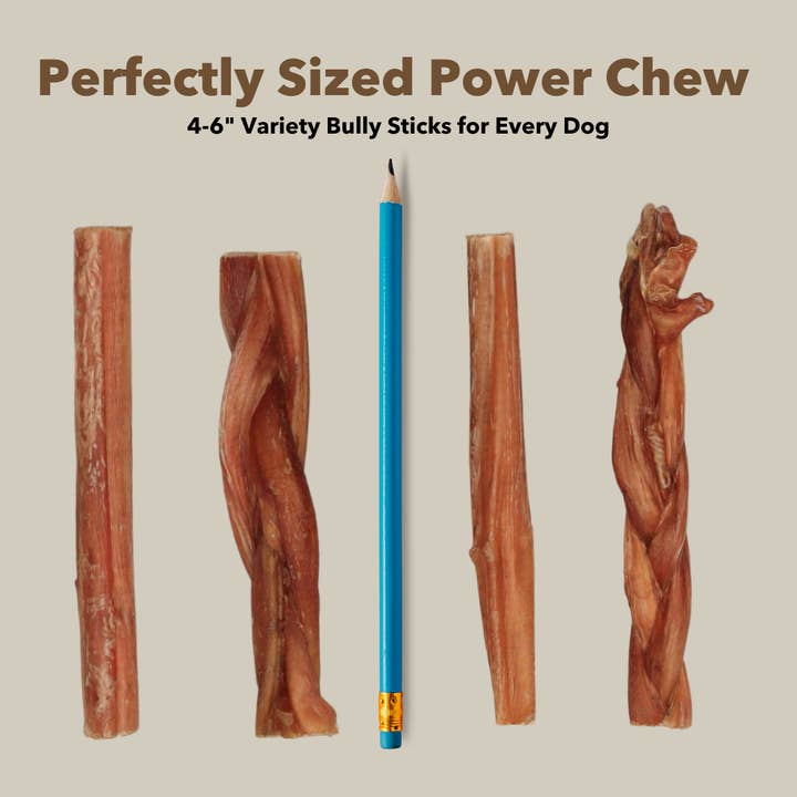 Mighty Chewz - Wholesale Pet Treats - Dog - 4-6" Variety Bully Sticks5