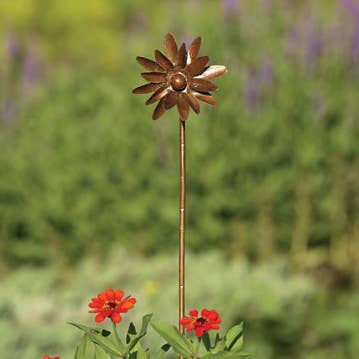 Ancient Graffiti - Vente Moulins à vent - Spinner Zinnia à flamme de 4 po0