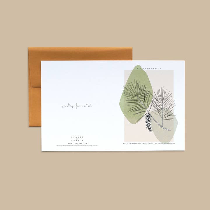 HILSNER FRA ONTARIO for engroshandel hos Leaves of Canada