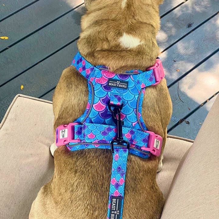 Beast & Buckle - Wholesale Pet Harness - Dog - Mermaid No Pull Dog Harness1