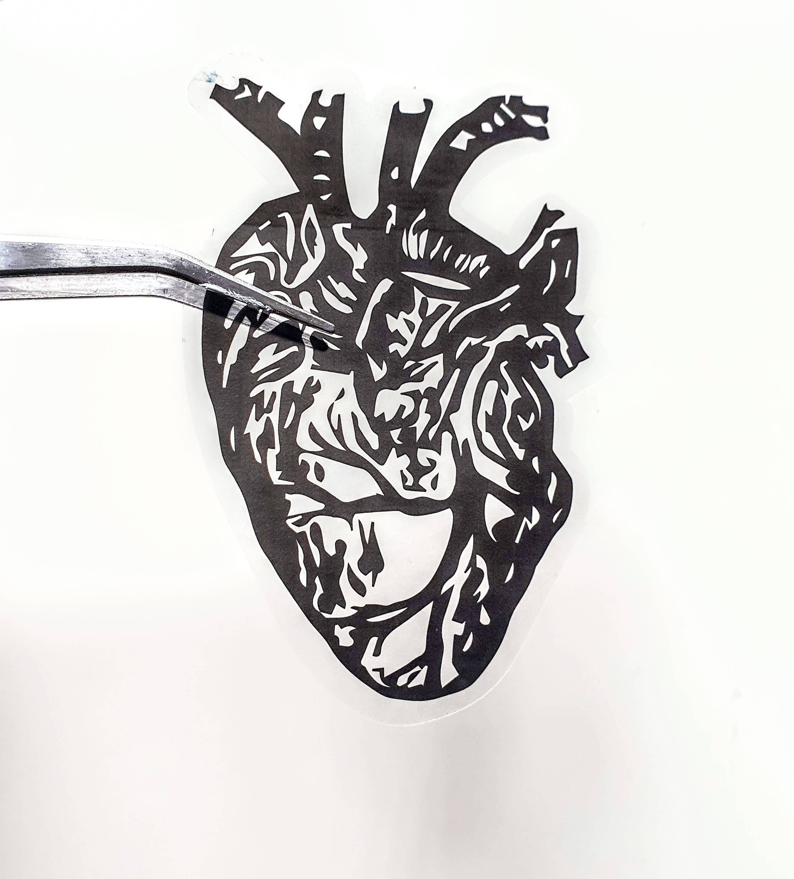 Fizah Afzal – wholesale Sticker – Floral chrysanthemum waterproof clear sticker2