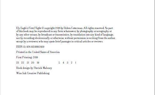 Bookish Endeavors - Wholesale Preschool Book (3-5) - Ely Eagle Learns To Fly5