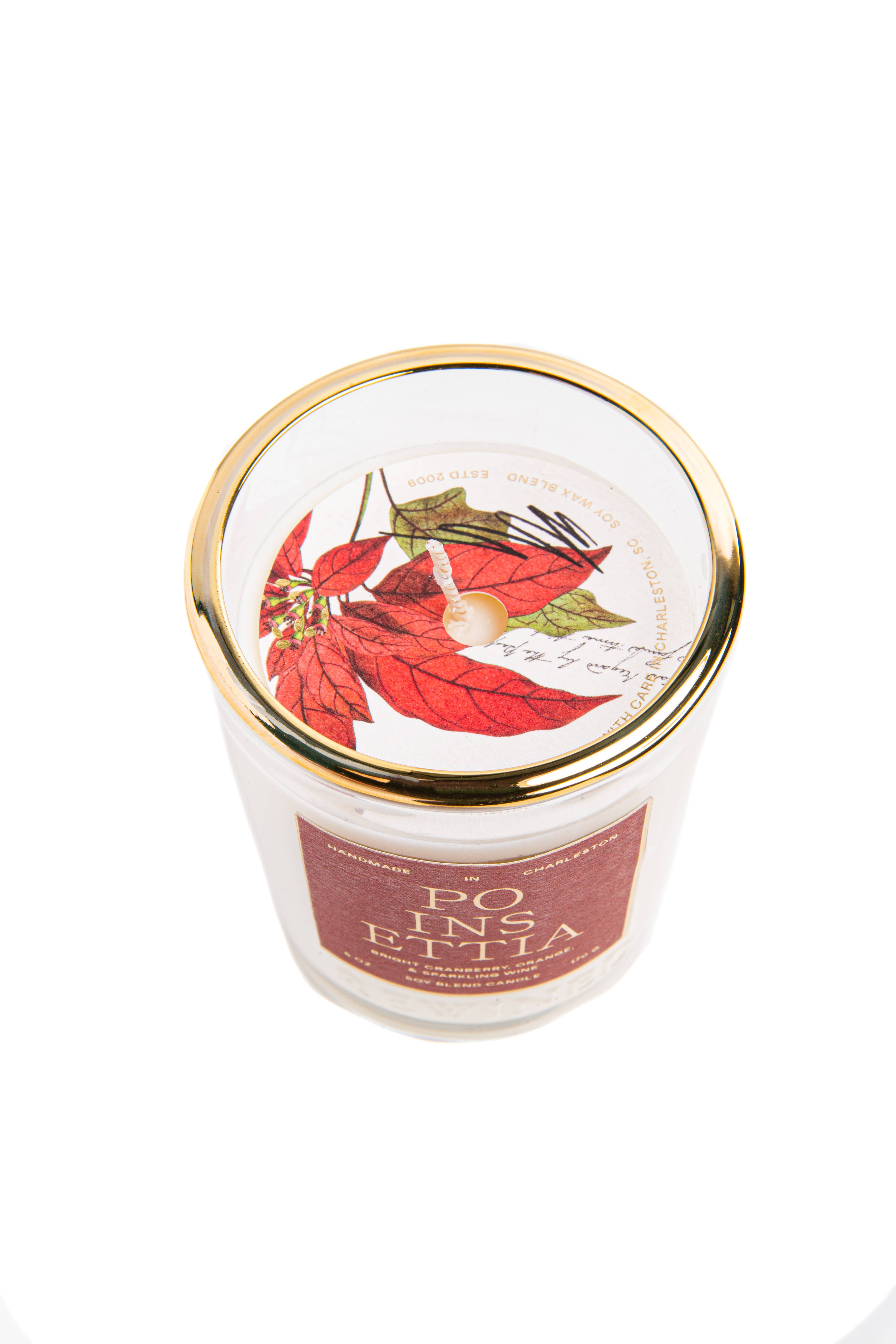 Rewined - Wholesale Jar/Filled Candle - Rewined Poinsettia Holiday Candle 6 oz4