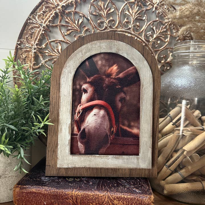 Cadre boho à sommet arqué avec photo d'âne pour la vente par The Broken Board