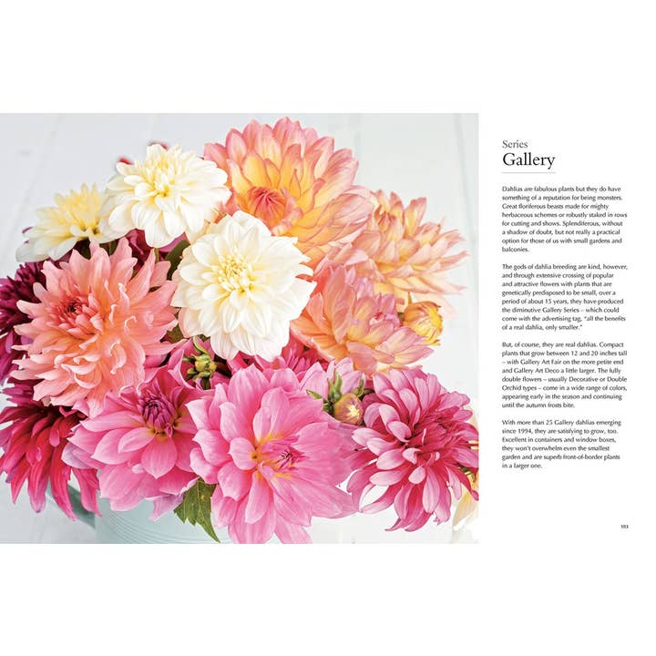 Gibbs Smith - Wholesale Home & Garden Book - Dahlias; Beautiful Varieties for Home & Garden 2
