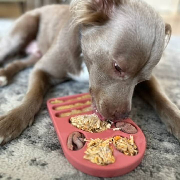 Freezbone - Wholesale Pet chew toy – Dog - FreezPaw Mat5