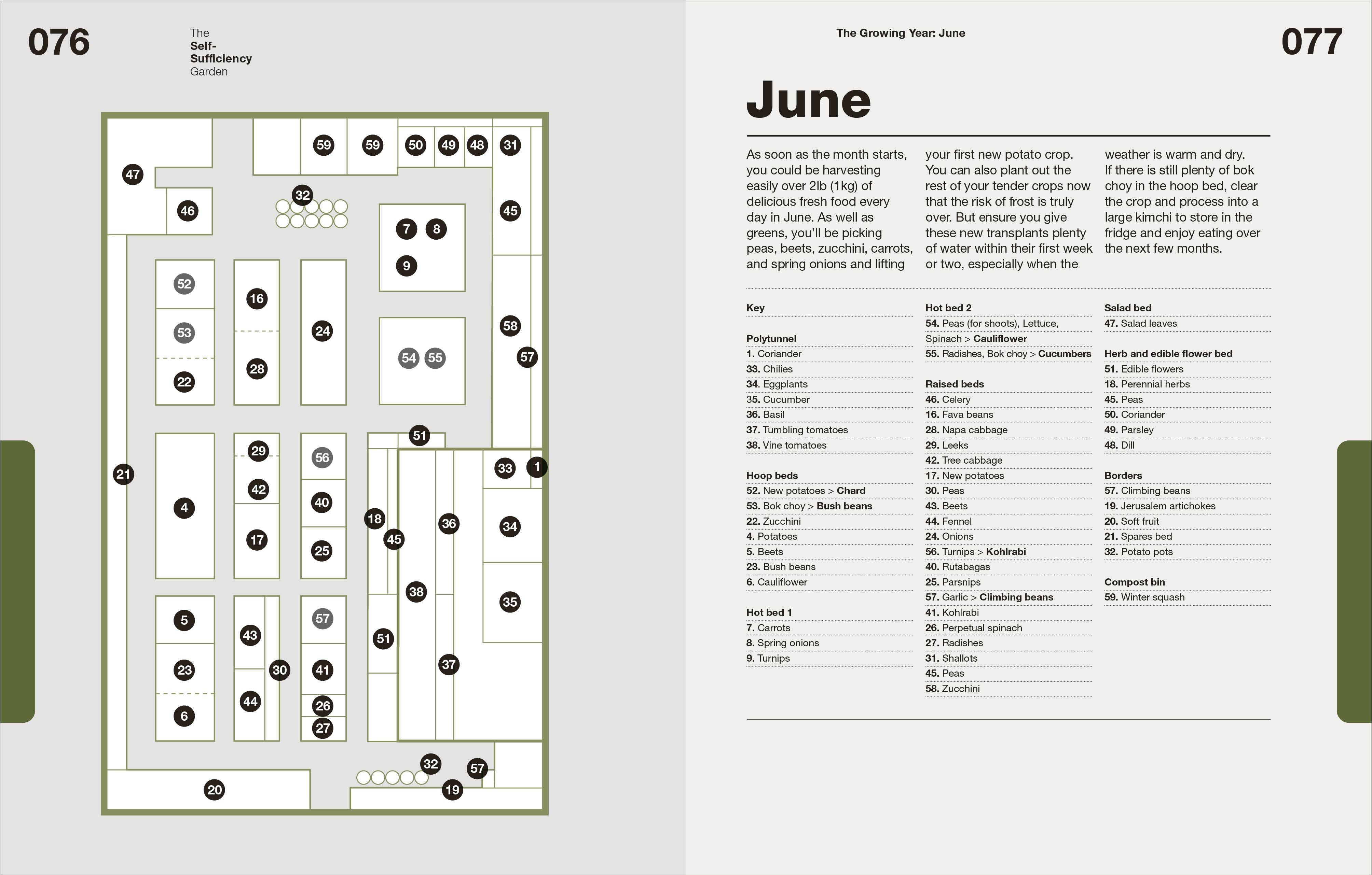 Penguin Random House LLC - Wholesale Home & Garden - The Self-Sufficiency Garden4