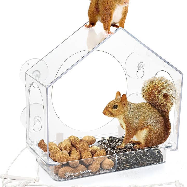 Squirrel-I-View Window Squirrel Feeder for wholesale by Nature Anywhere