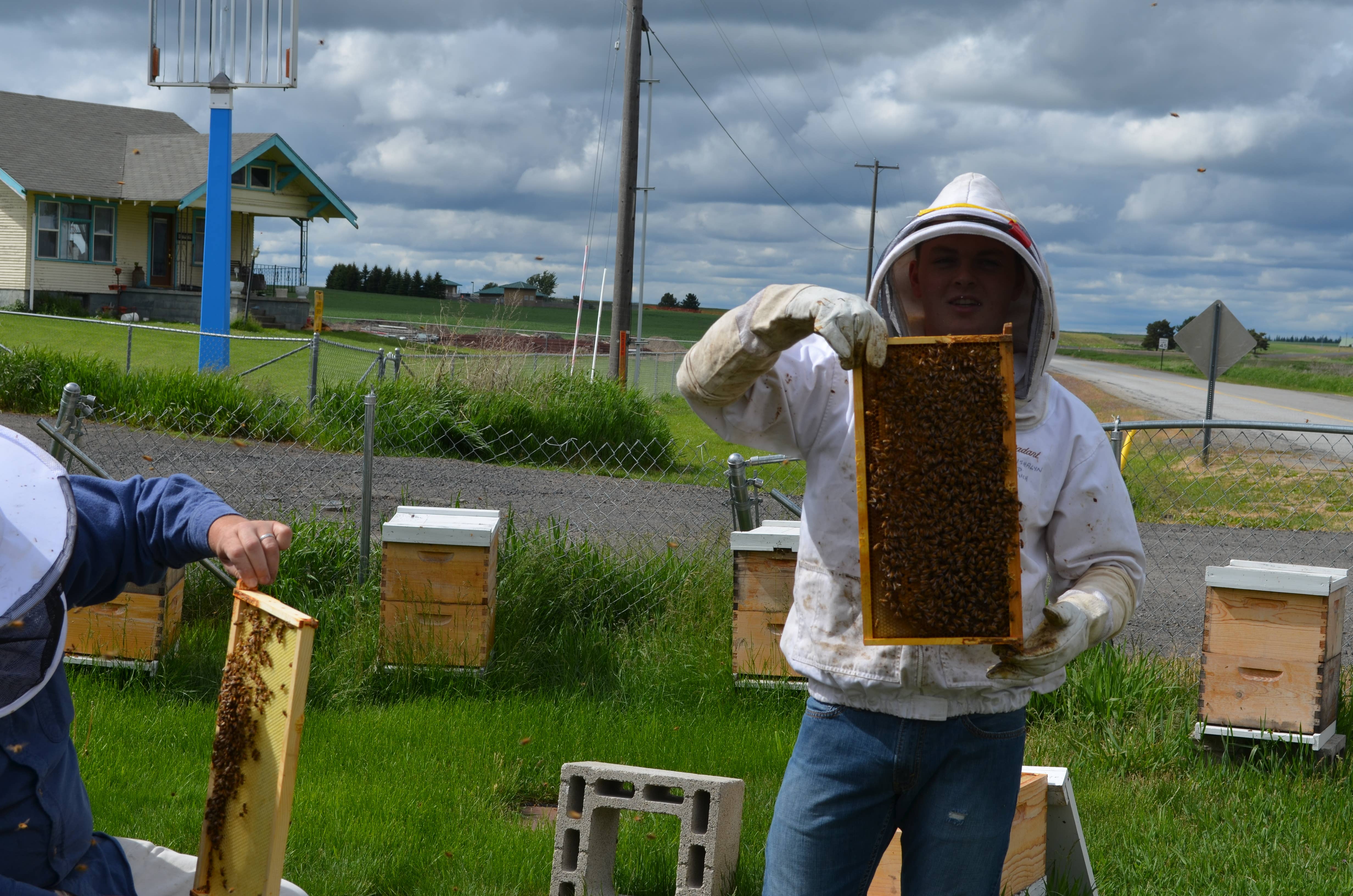 Bees-to-Bubbles Handcrafted Soaps – wholesale Tvål – Mjölk- och honungstvål med havre3