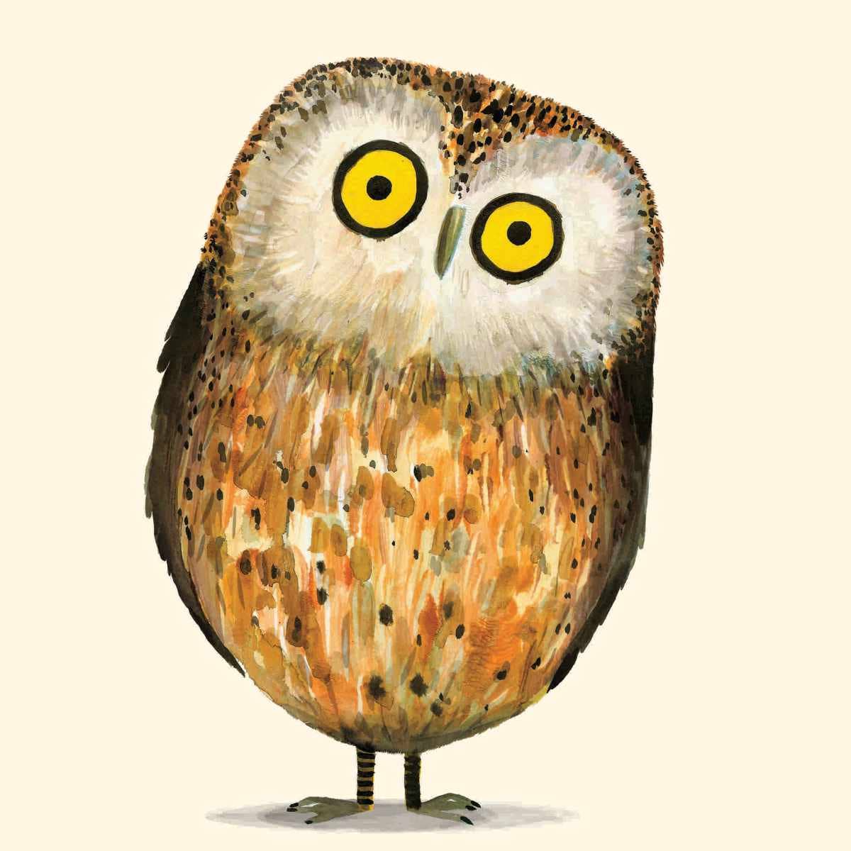 Charley Rabbit Cards - Venta al por mayor Tarjetas de felicitación - Tarjeta de Felicitación de Búho Amistoso | Tarjeta de Felicitación de Búho Lindo1