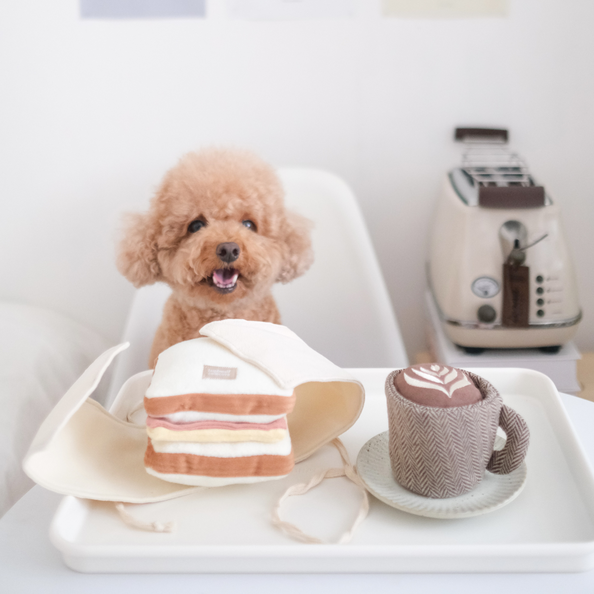 Lambwolf EU - Wholesale Pet Squeaky Toy - Dog - LATTE POP//Enrichment Toy 4