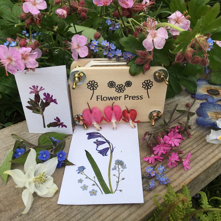 WIDDOP and Co. US - Wholesale Craft Supplies - **MULTI 6** Apples To Pears Gifts For Grown Ups Flower Pressing Kit Tin1