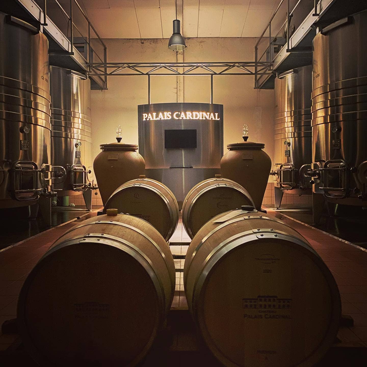 Château Palais Cardinal - Wholesale Red Wine - Chateau Palais Cardinal 2020 - Saint-Emilion Grand Cru4