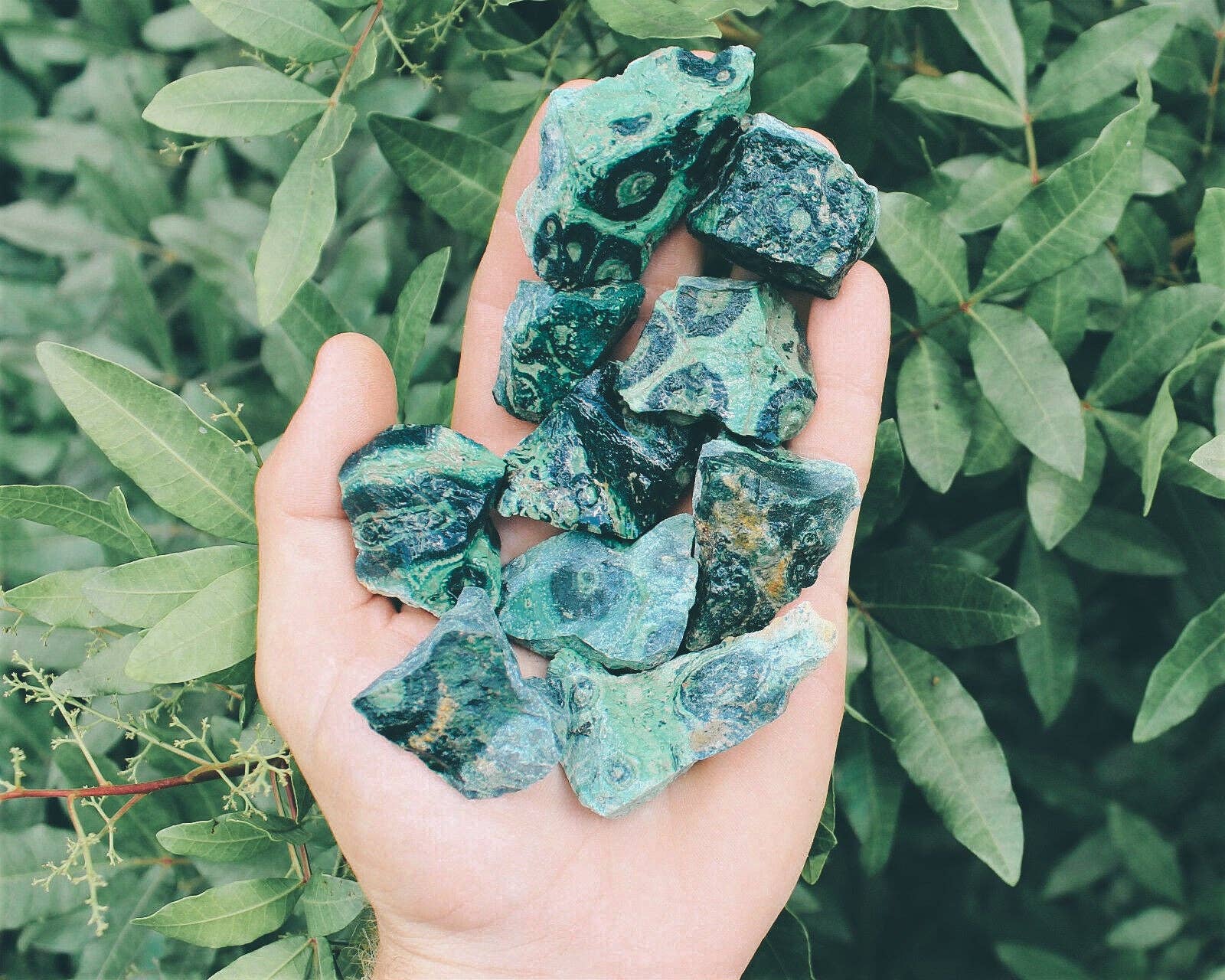 mineralyte – wholesale Spiritual stone/crystal – Crocodile Jasper Crystal Chunk2