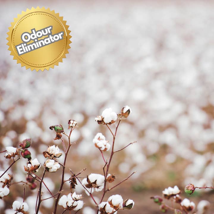 Craftiful - Wholesale Fragrance Oil - Delicate Blooms Fragrance Oil