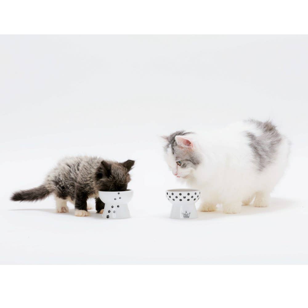 MOON-X USA, INC. – Großhandel Futternapf – Katze/Hund – Raised Mini Katzenfutternapf (Cat Dots)7