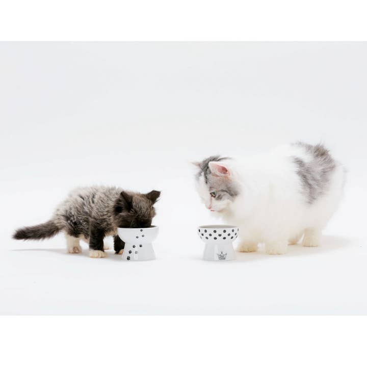 MOON-X USA, INC. - Wholesale Pet Bowl - Cat/Dog - Raised Mini Cat Food Bowl (Cat Dots)7