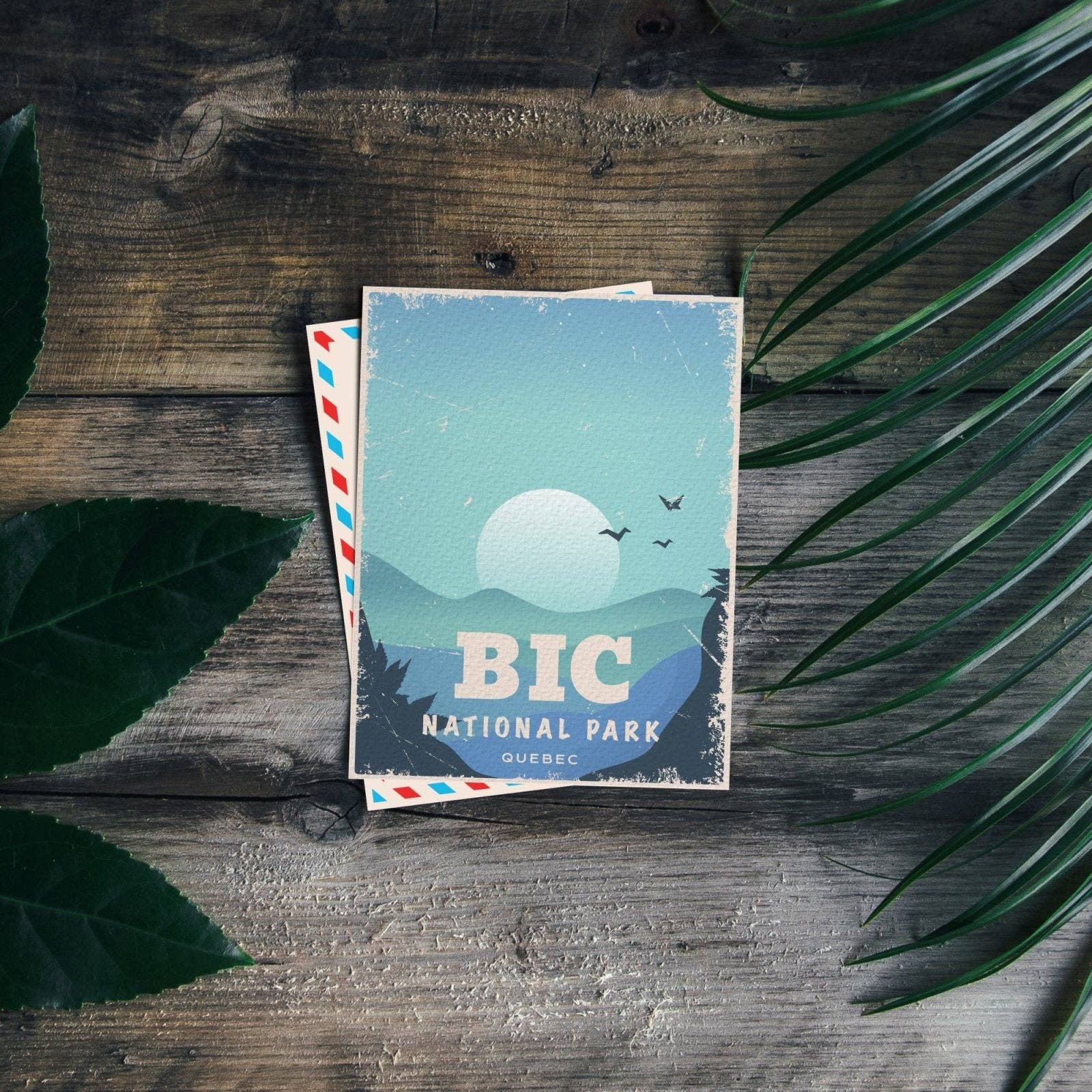 Canada Untamed - Wholesale Postcard - Bic Quebec National Park Postcard5