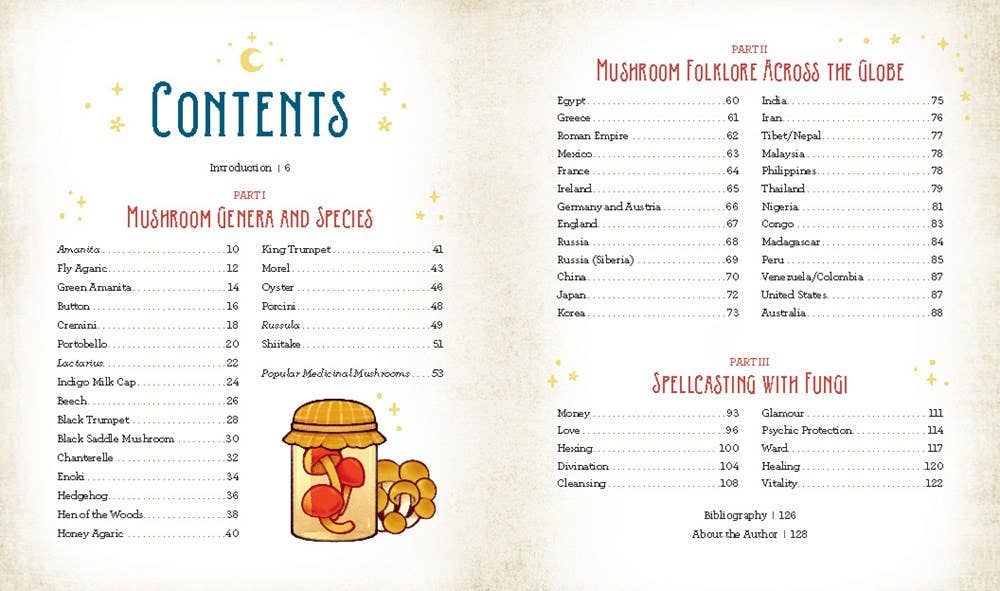 Hachette Book Group - Wholesale Nature & Outdoors - Mushroom Magick by Shawn Engel3