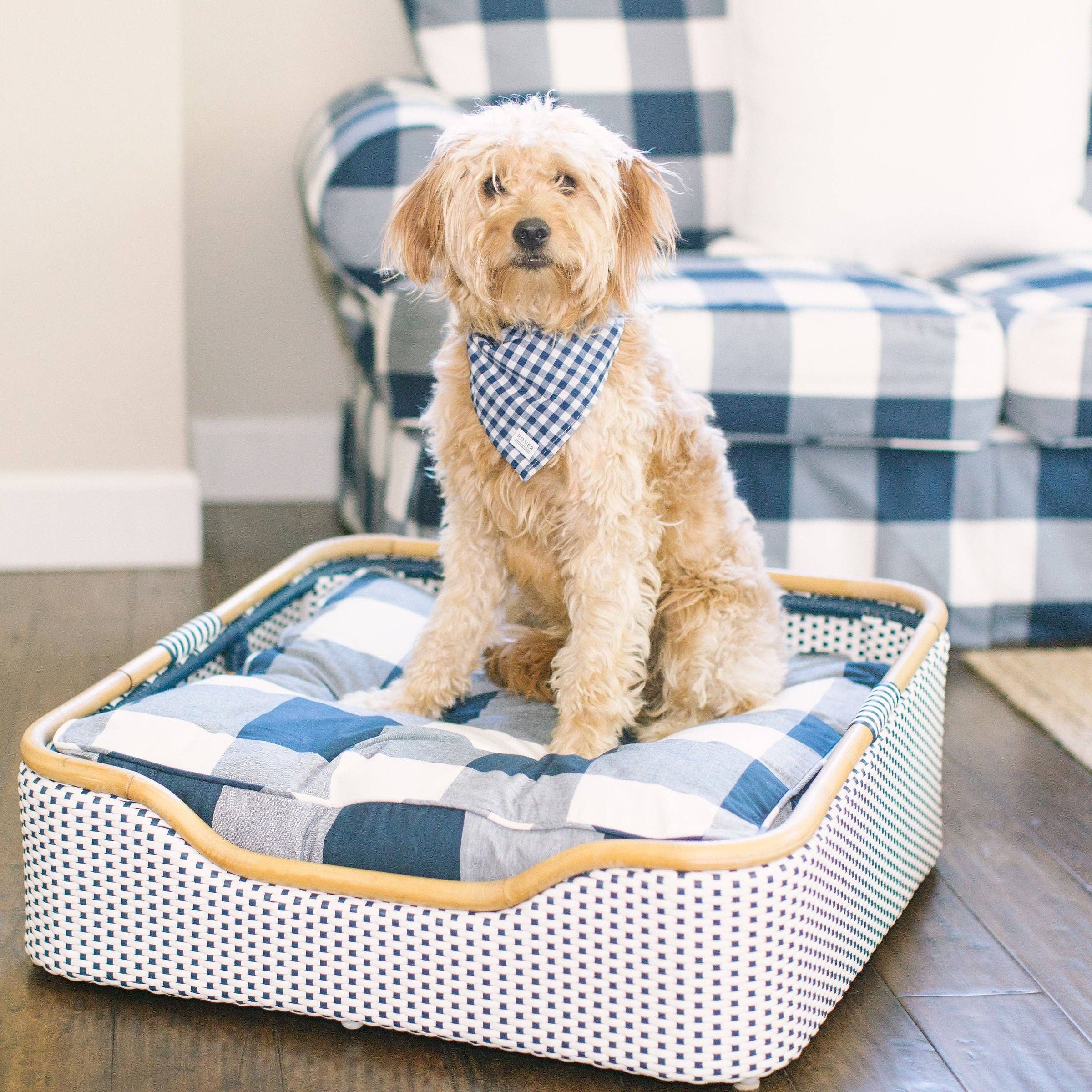 The Rover Boutique – Großhandel Haustier-Bandana – Hund – Königliches Gingham-Hundebandana3