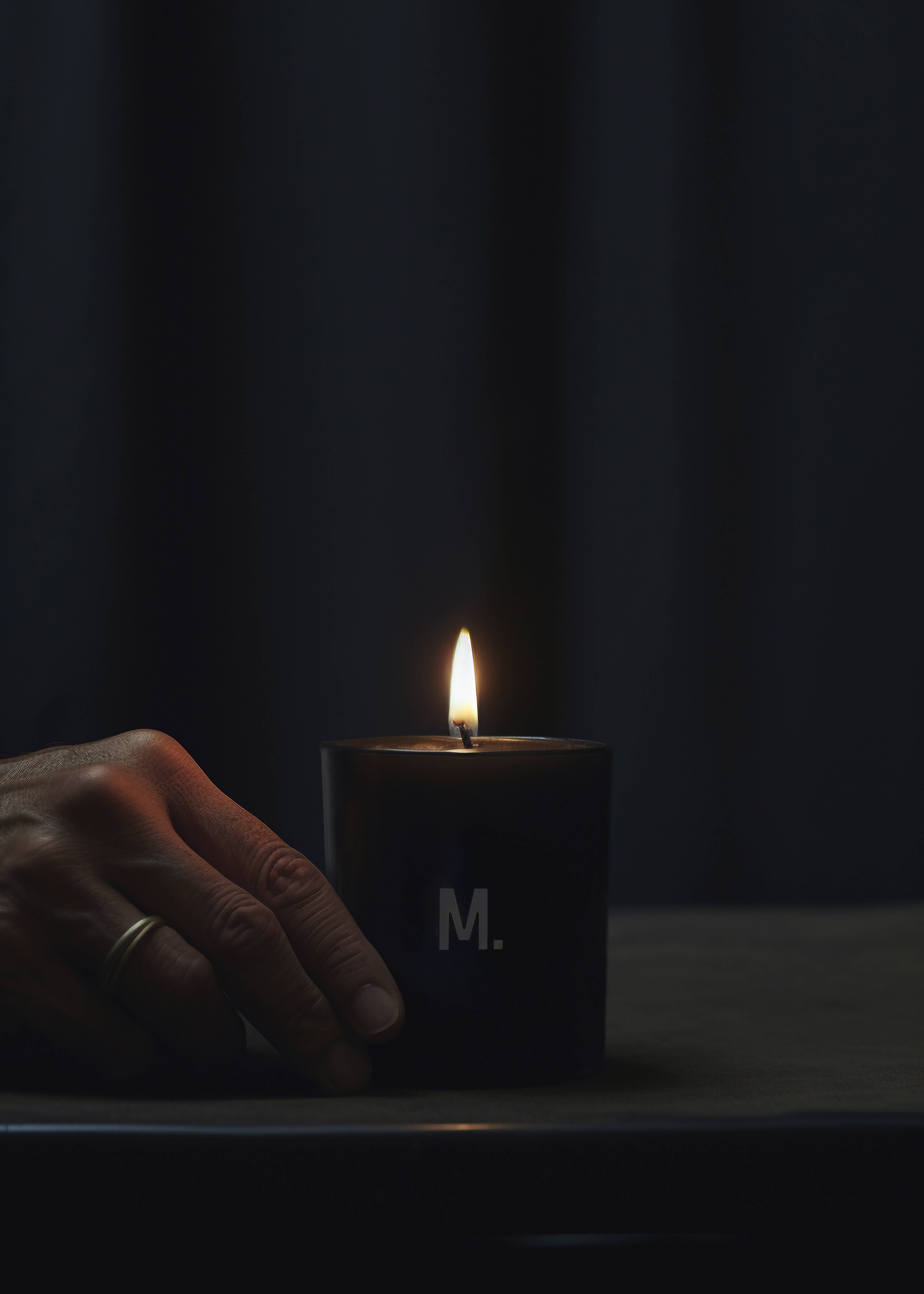 Manisante - Vendita all'ingrosso Candela in vasetto - Foglia di Fico/ Candela profumata,100% cera vegetale, vegana3