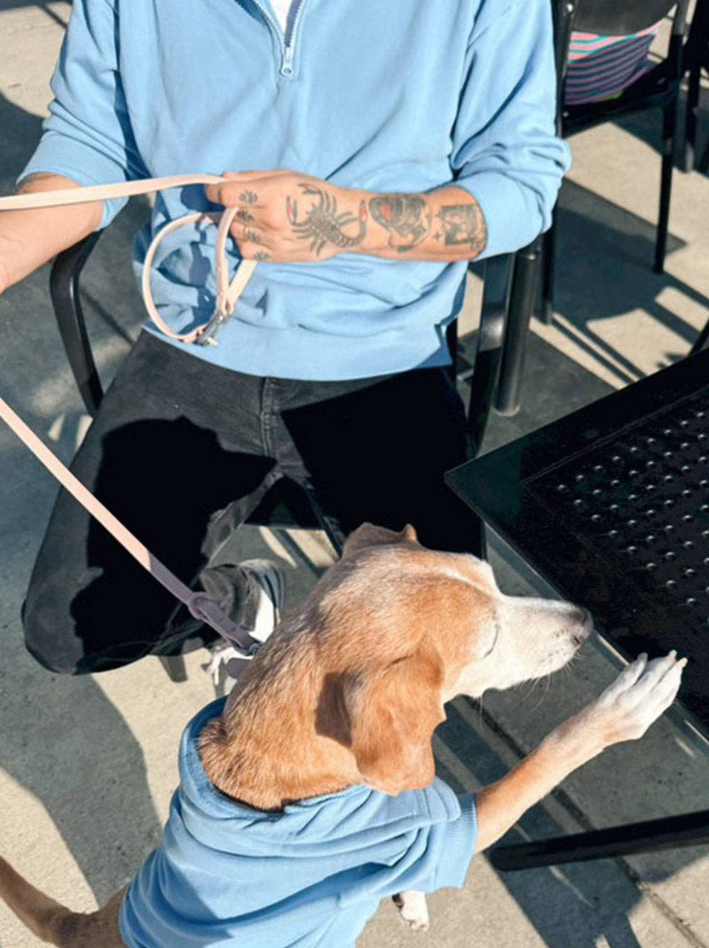 Good Thomas – wholesale Tröja - Hund – Komfort-tröja med dragkedja med 1/42