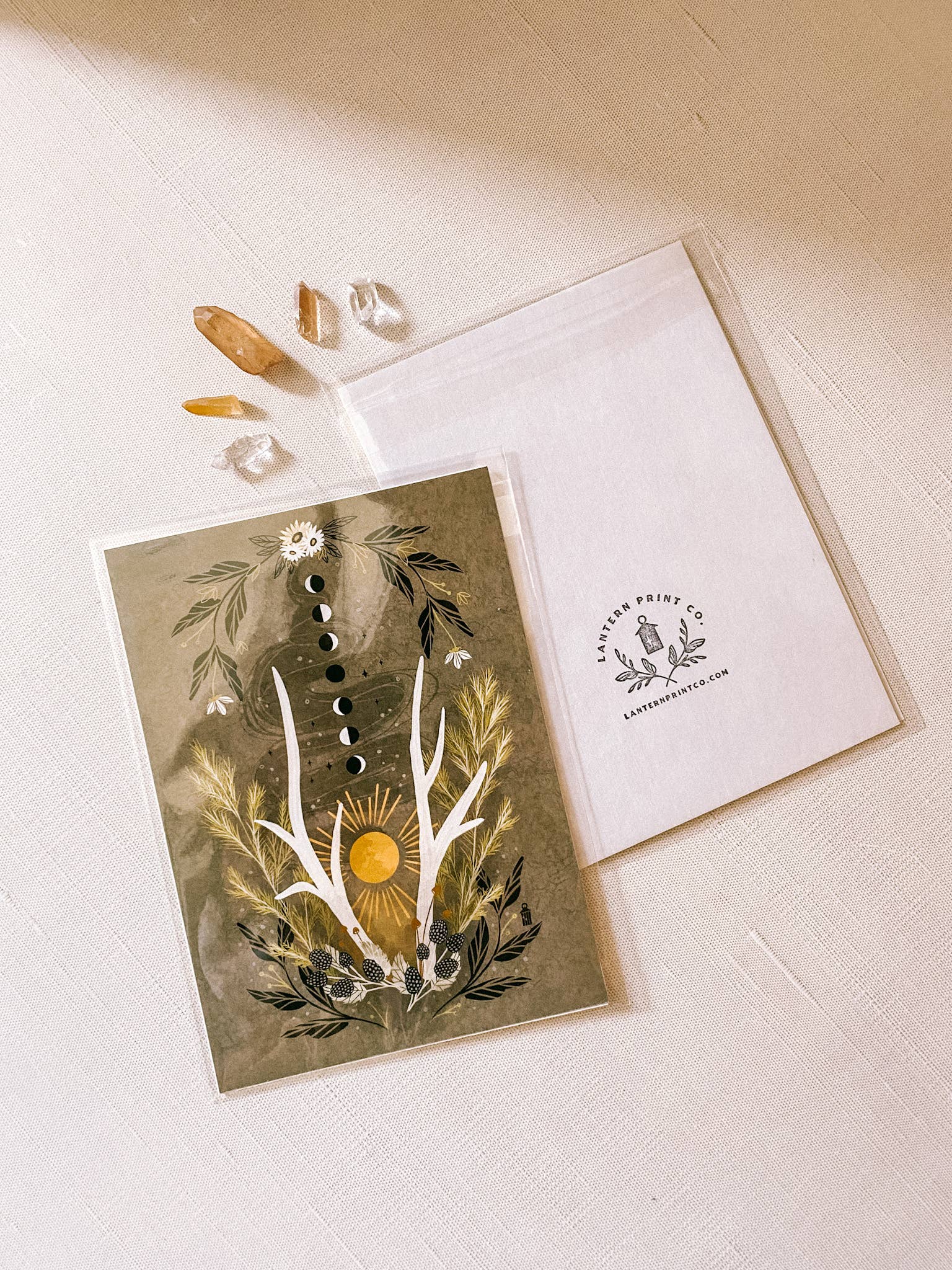 Lantern Print Co. - Wholesale Art Print - Art Print: Forest Forage; 5x7, 8x100