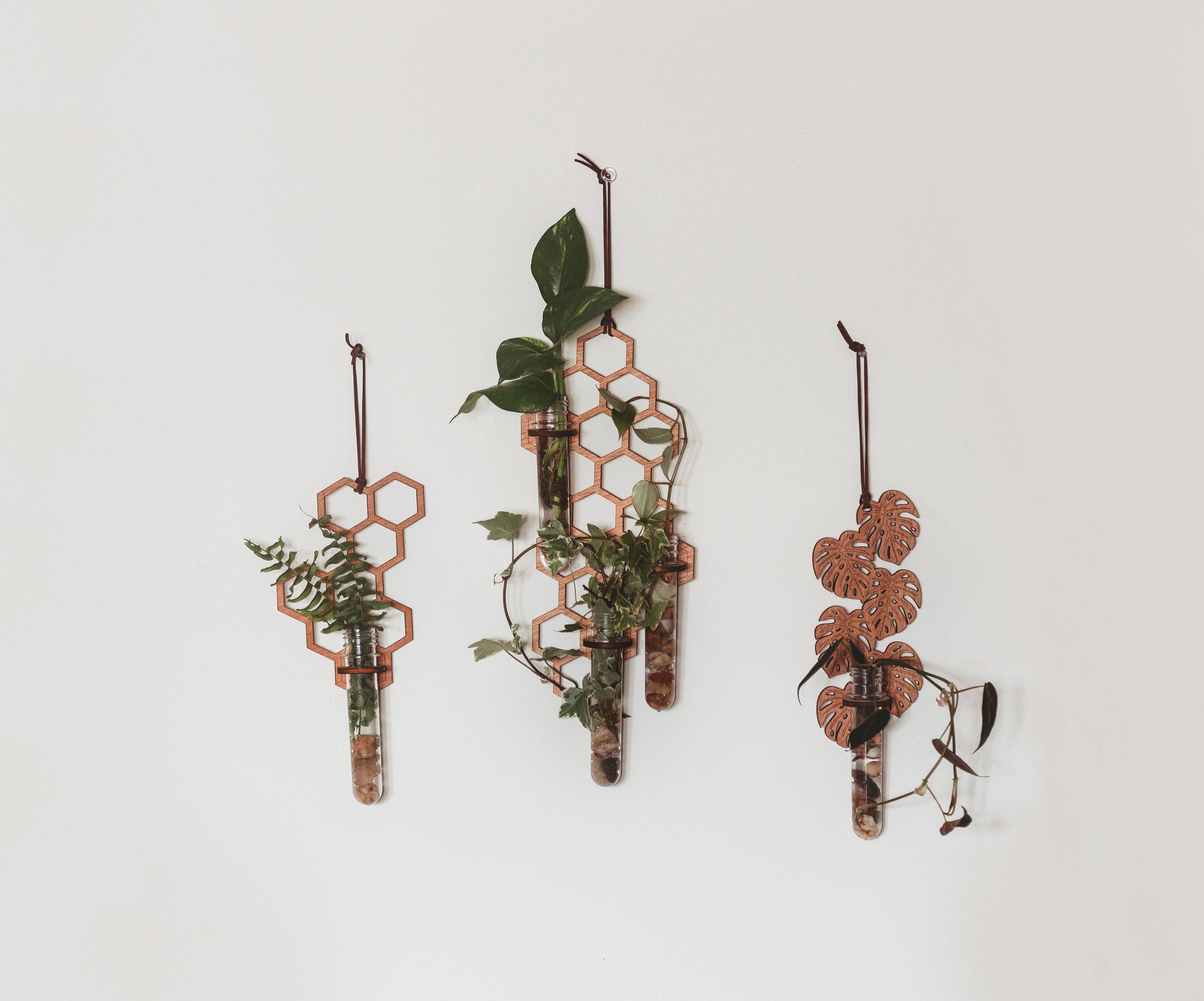 PlantsNsht - Wholesale Hanging Planter - 3 Tube Honeycomb Hanging Propagation Station2