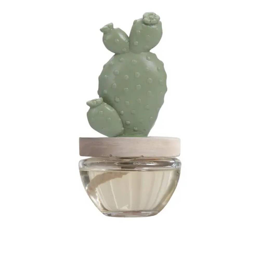 Pretty Valley Home - Wholesale Reed Diffuser - Bunny Ear Cactus Ceramic Diffuser Combo (BNY+CLR) Clarity2