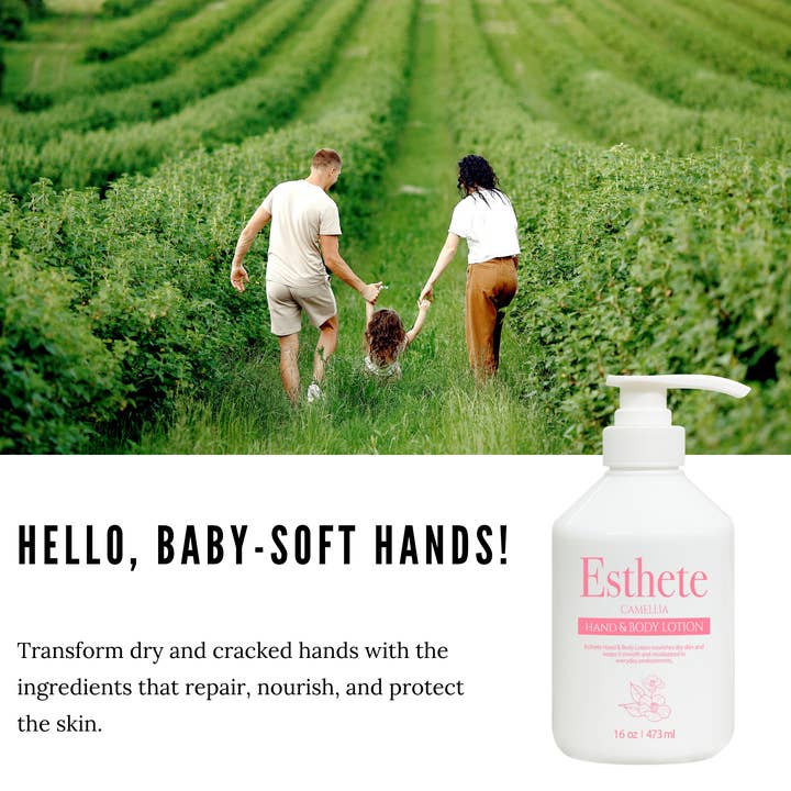 ESTHETE - Wholesale Hand & Body Lotion - Camellia Shea Butter Hand & Body Lotion (16 oz.)2
