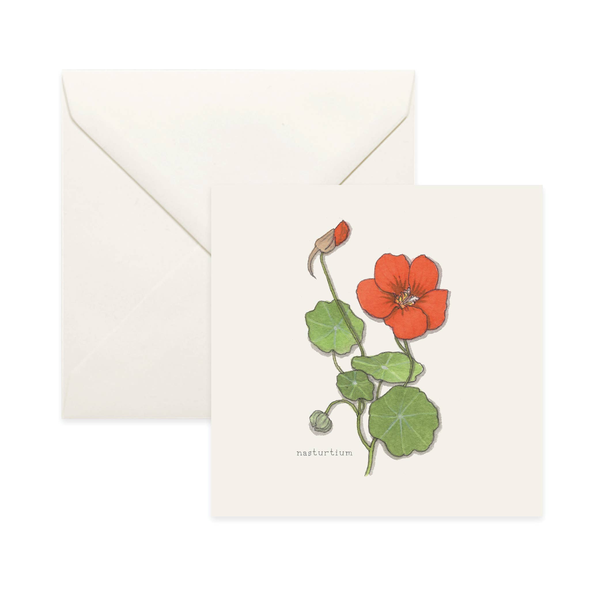 Yeesan Loh – wholesale Vardagliga hälsningskort – Kort/Blommor (2 av 3)9