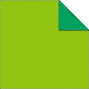 URSUS® / Buntpapierfabrik Ludwig Bähr GmbH & Co. KG - Vendita all'ingrosso Carta intestata - Origami Duo “Intensive” - Carta per origami 15 x 15 cm6