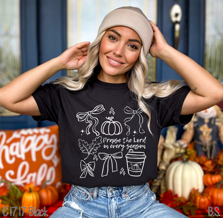 Bama Screens - Wholesale Screen Printed T-Shirt - Women's - Semi-Exclusive Praise The Lord Fall #BS83263