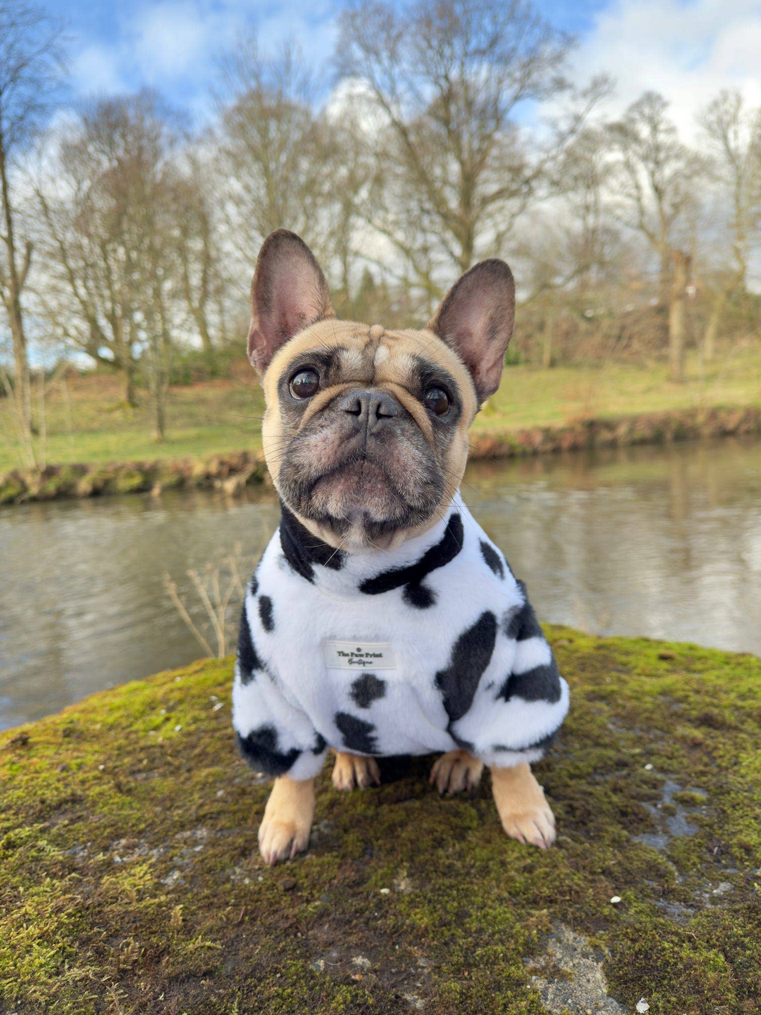 The Paw Print Boutique - Wholesale Pet Coat - Dog - The Cow Print Fluffy & Fabulous Fleece3