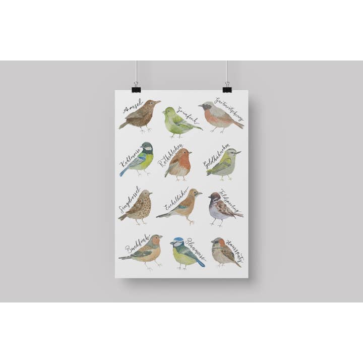 A4 Poster Heimische Vögel, Gartenvögel Poster, Poster Vögel für den Großhandel von Hannahs Firlefanz