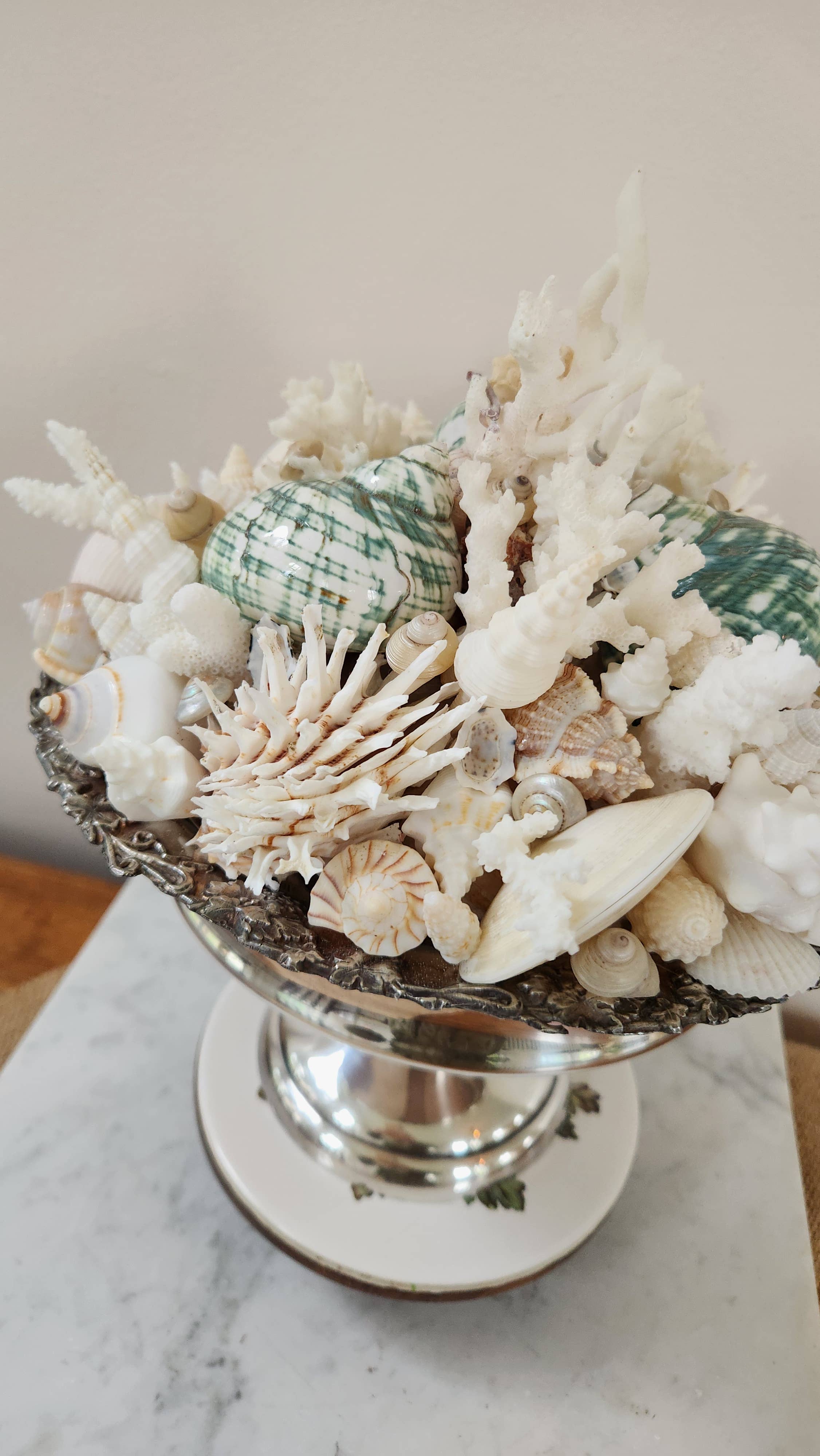 White Tulip Boutique - Wholesale Decorative Tabletop Object - Large Seashell n Coral Centerpiece, Table Top Decor, Topiary9