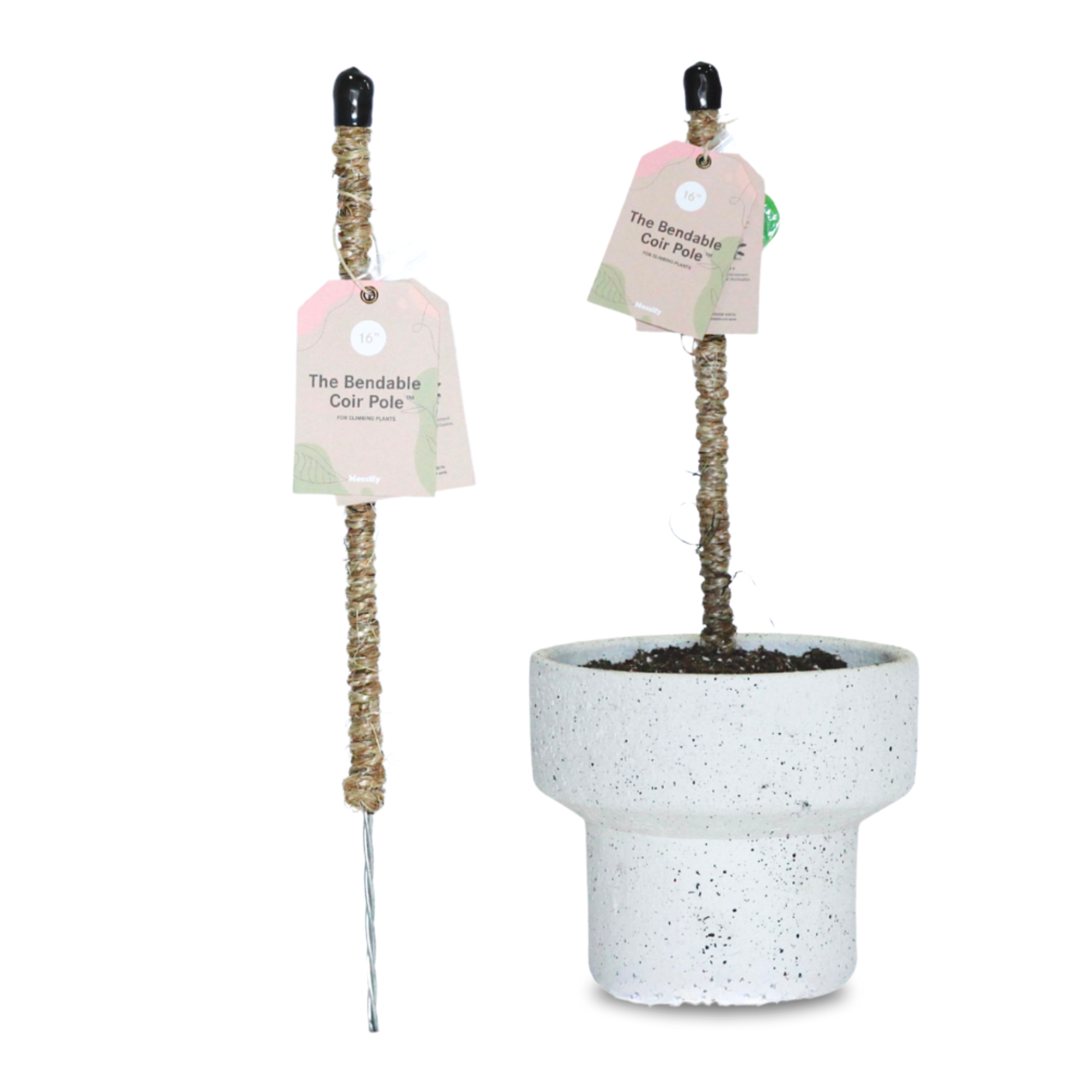 Mossify - Wholesale Trellis - Bendable Coir Pole™ – Flexible Plant Support for Tropicals0