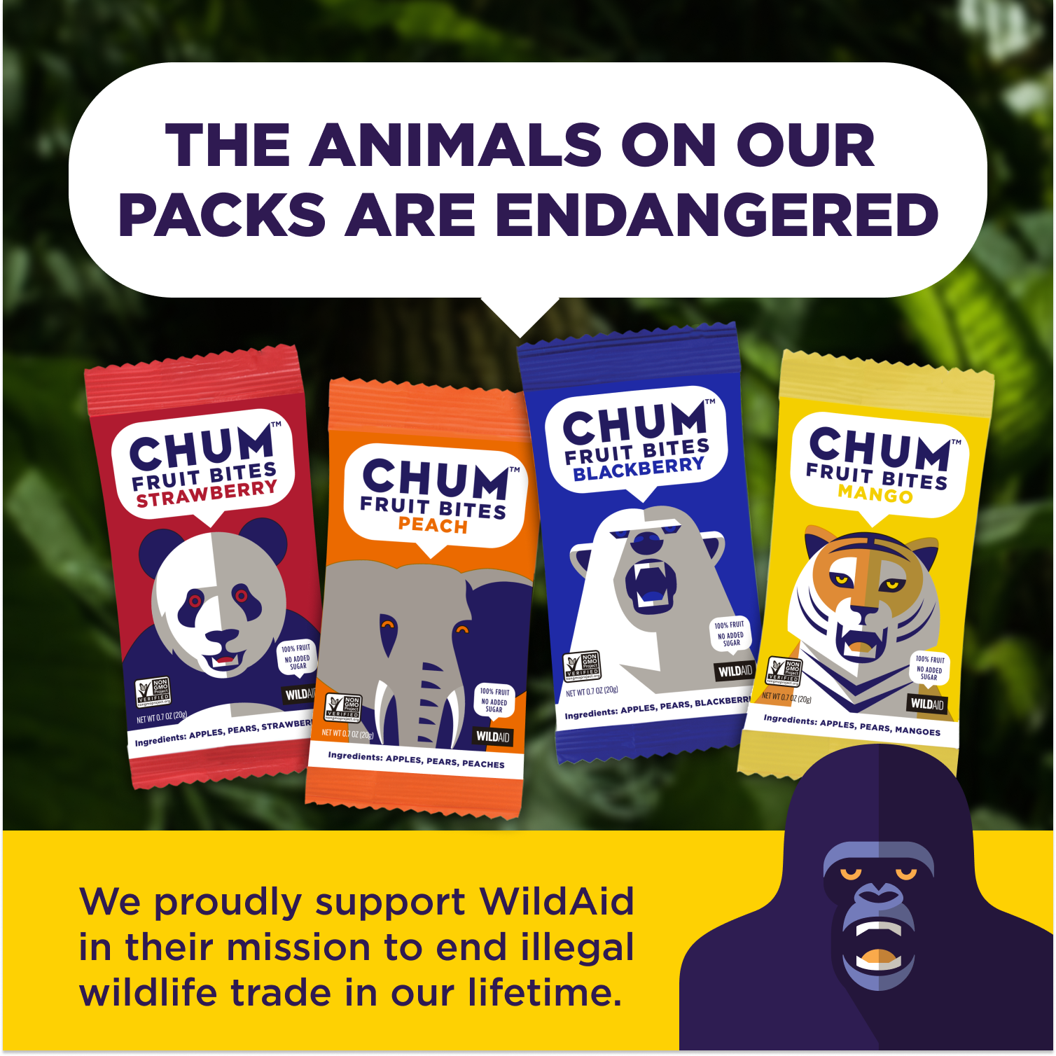 Chum Fruit Bites - Wholesale Fruit Snacks - 120 pack - Strawberry 100% Real Fruit Snacks, No Sugar Added8