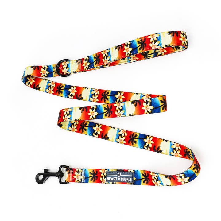Island Sunset Dog Leash for wholesale by Beast & Buckle