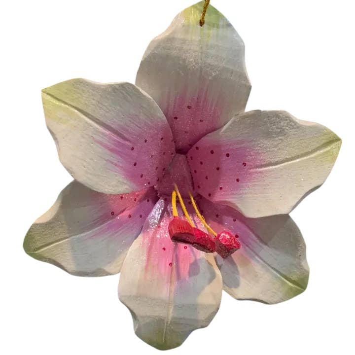 Julprydnadsblomma Star Lily för wholesale av Erik & Mike