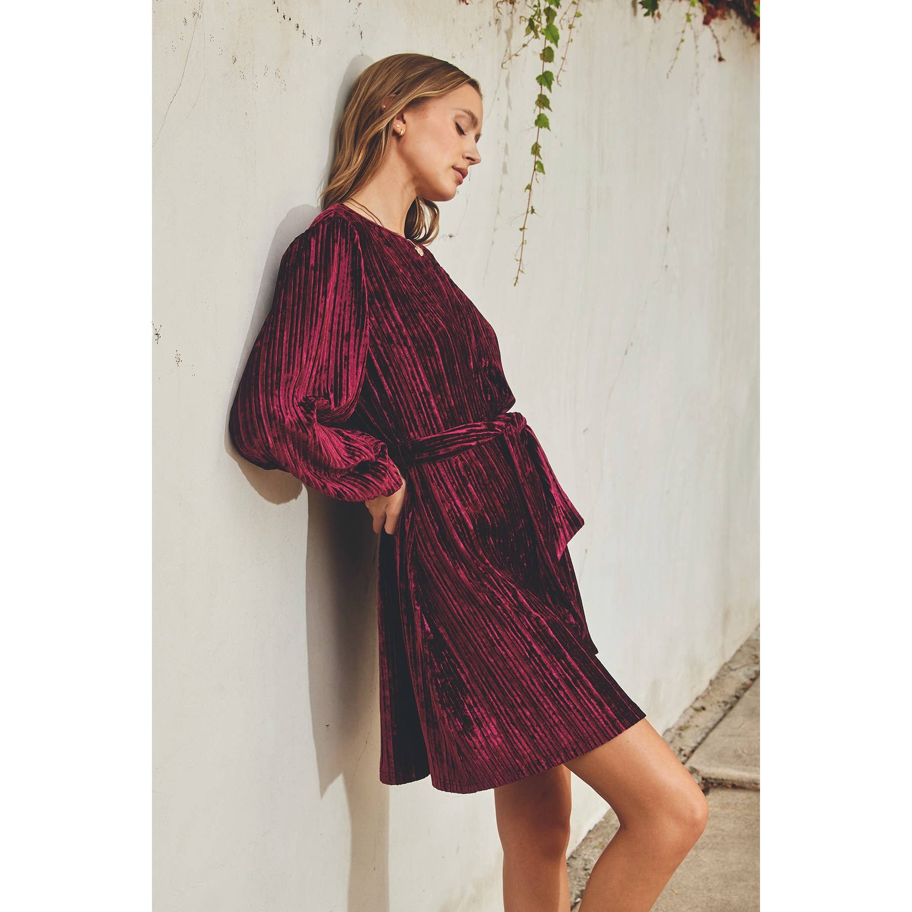 Dress Forum - Vendita all'ingrosso Vestito - Donna - Abito con cintura a fusciacca con scollo alto in velluto16