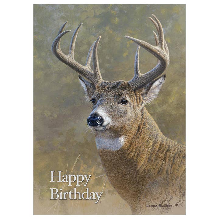 Whitetail Portrait - Birthday Card for wholesale by Legacy