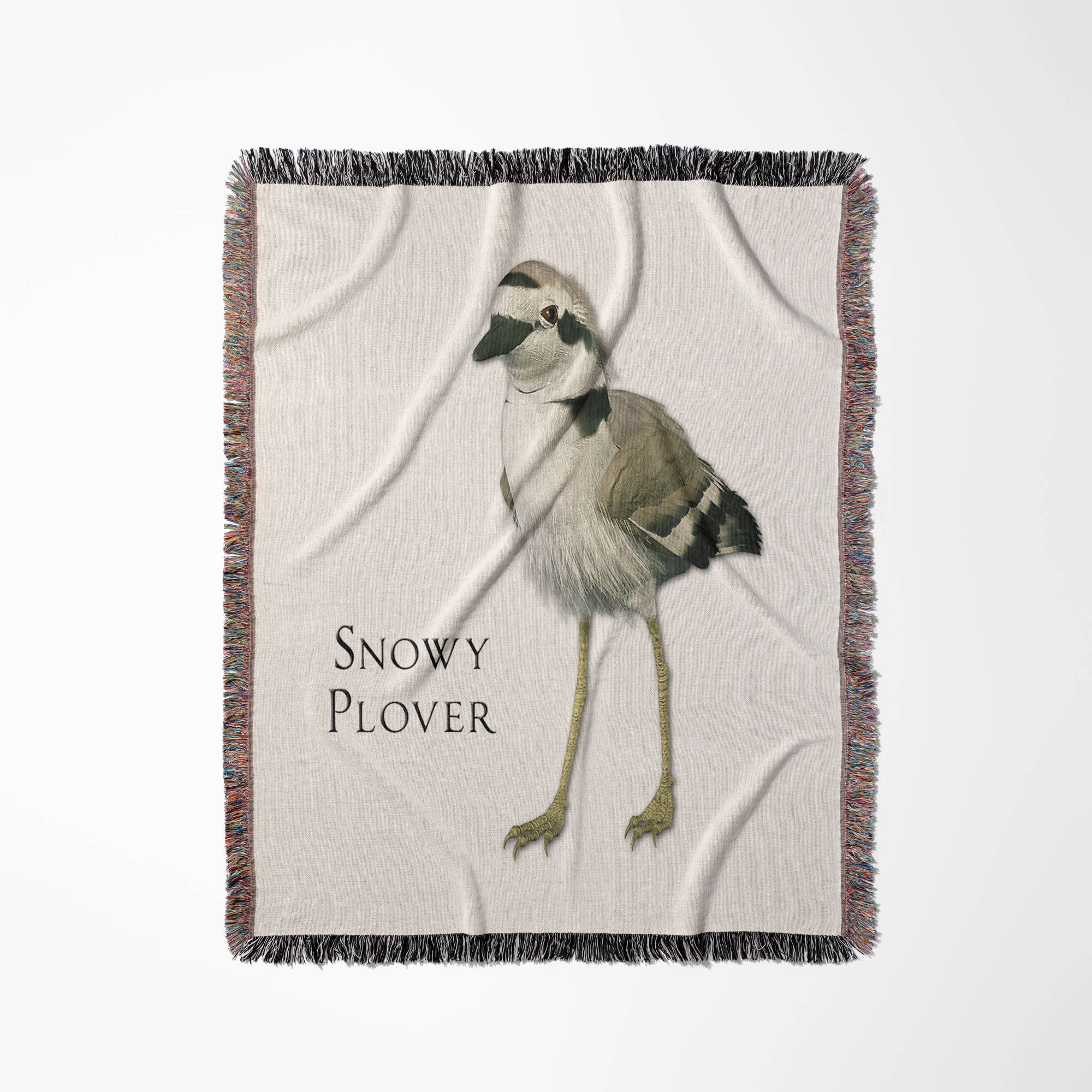 3dRose - Wholesale Throw Blanket - 3dRose, Snowy Plover Shorebird, Blanket0