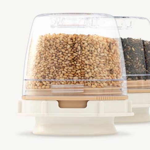 Sesame Pod - 1 Pack for wholesale by FinaMill